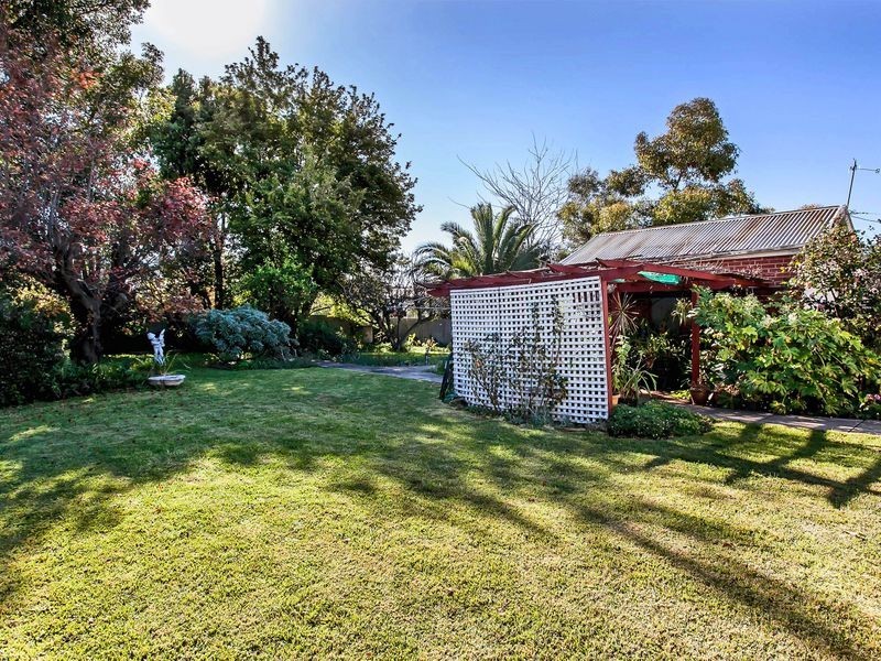 46 Willcox Avenue, Prospect SA 5082