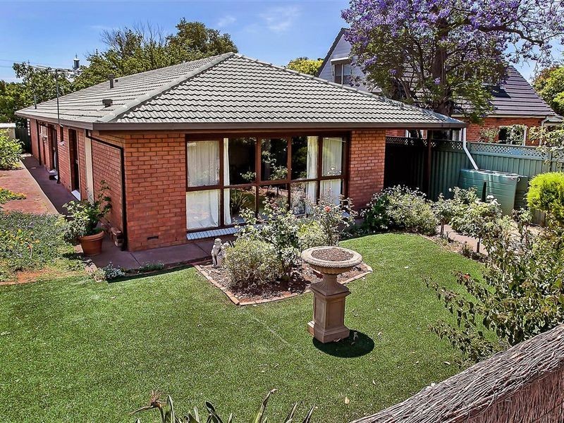 14 Carter Street, Prospect SA 5082