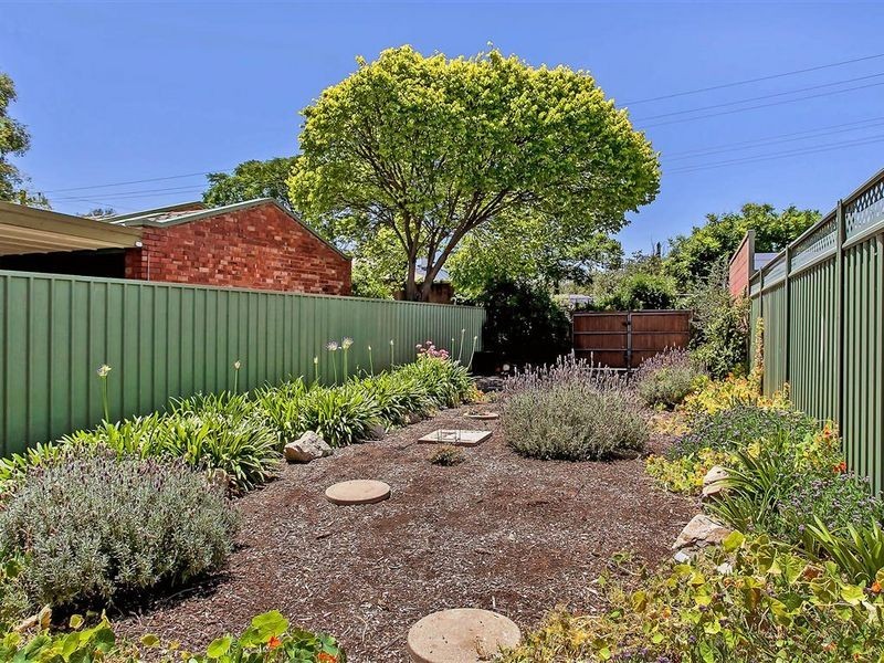 14 Carter Street, Prospect SA 5082