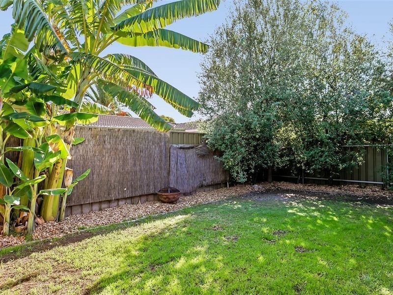 3 Angus Court, Renown Park SA 5008