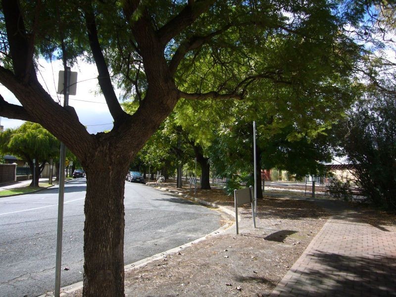 1/261 Young Street, Wayville SA 5034