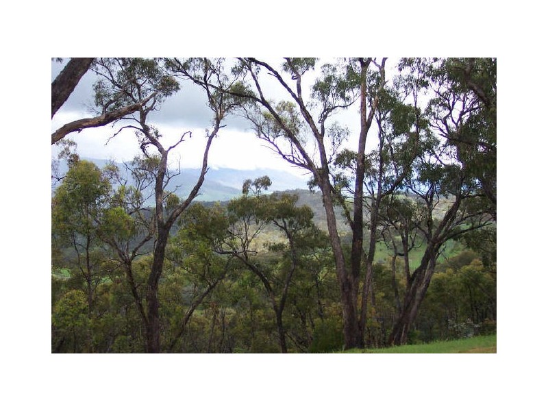 20 Taylor Bay Road, Eildon VIC 3713