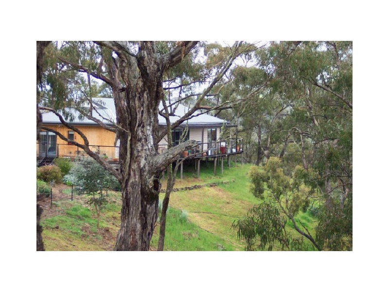 20 Taylor Bay Road, Eildon VIC 3713