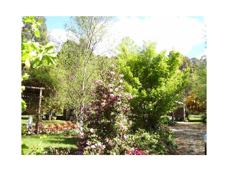 2/90 Falls Road, Marysville VIC 3779