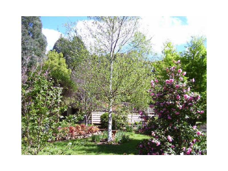 2/90 Falls Road, Marysville VIC 3779