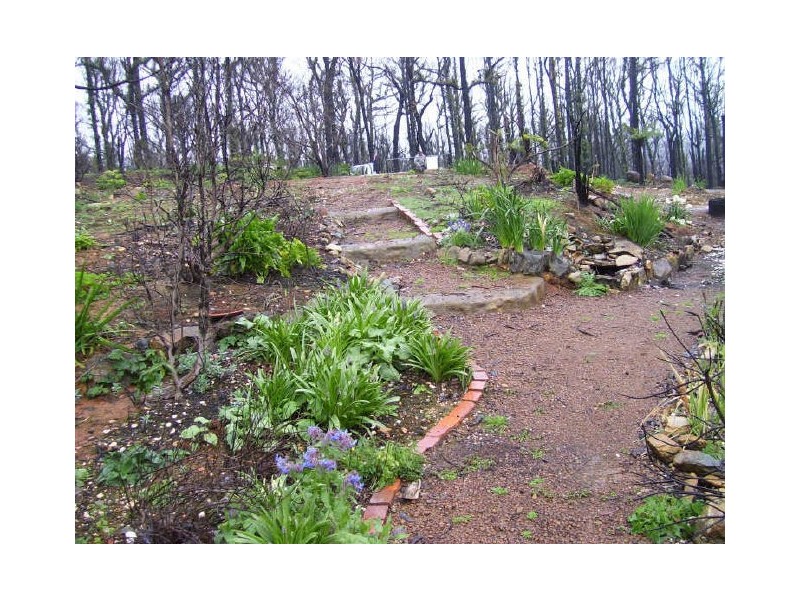 65 Kings Road, Marysville VIC 3779