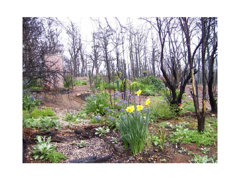 65 Kings Road, Marysville VIC 3779