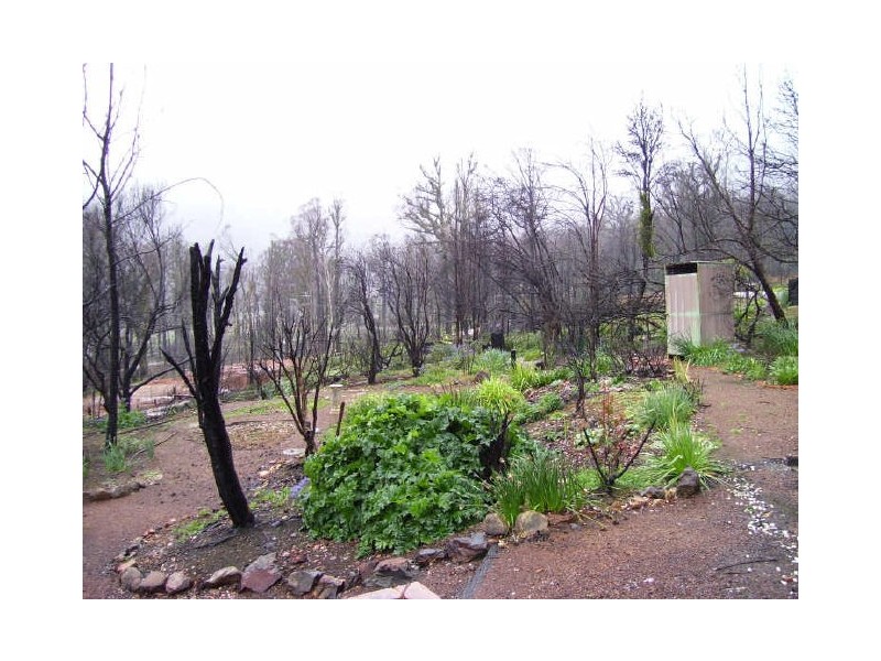 65 Kings Road, Marysville VIC 3779