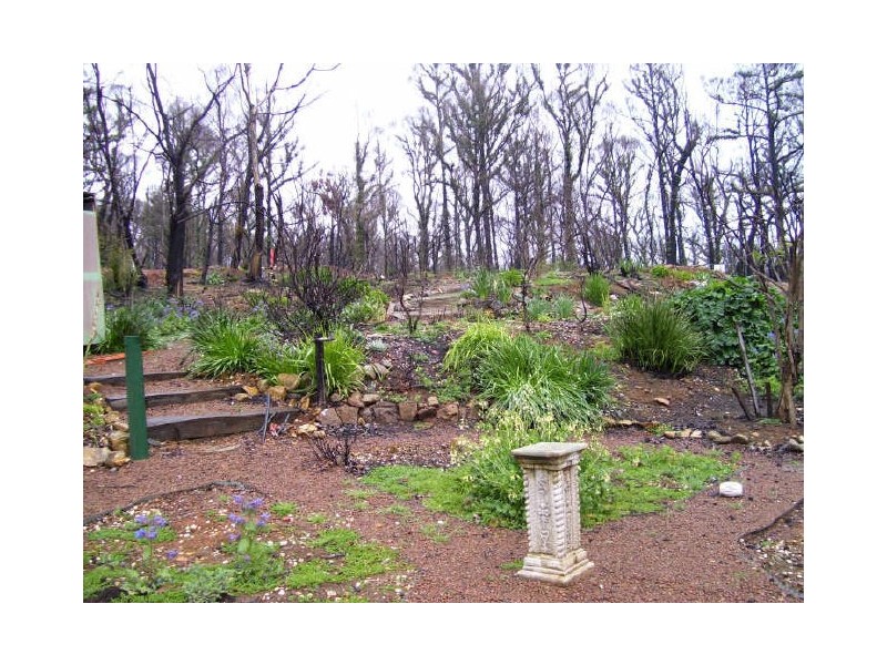 65 Kings Road, Marysville VIC 3779