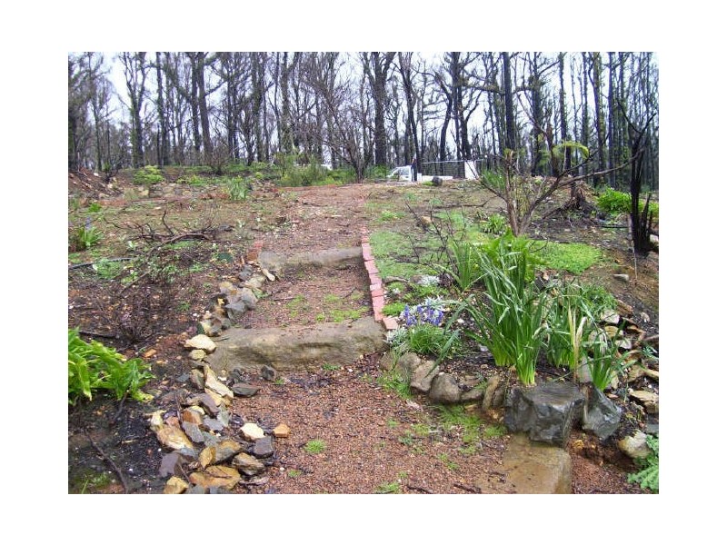 65 Kings Road, Marysville VIC 3779