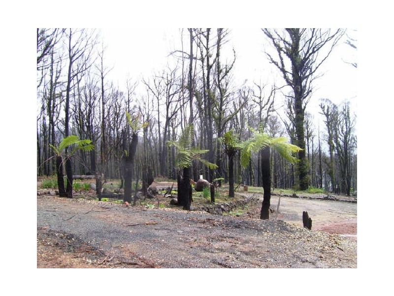 65 Kings Road, Marysville VIC 3779