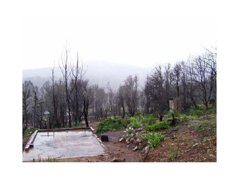 65 Kings Road, Marysville VIC 3779