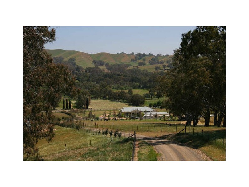 113 Swann Road, Alexandra VIC 3714