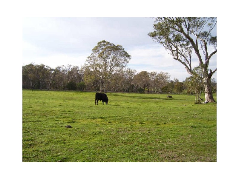 905 Gobur Road, Yarck VIC 3719