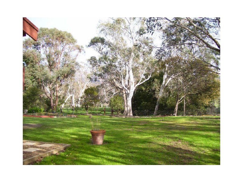 905 Gobur Road, Yarck VIC 3719