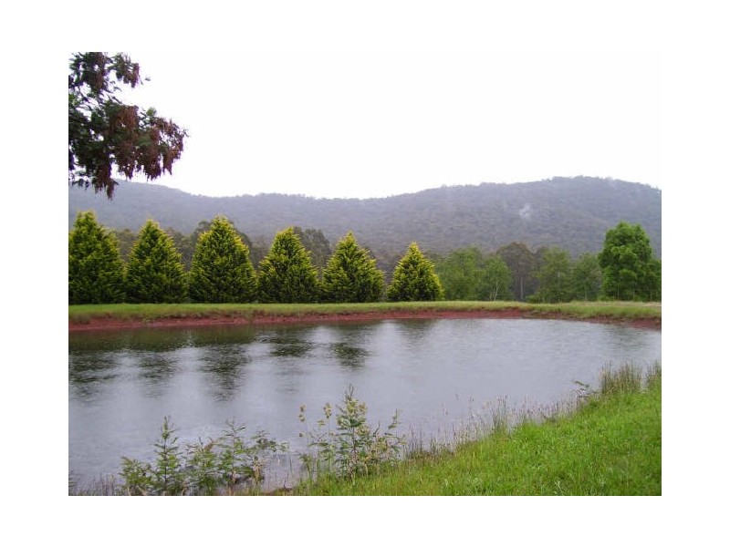 114 Marysville Road, Marysville VIC 3779