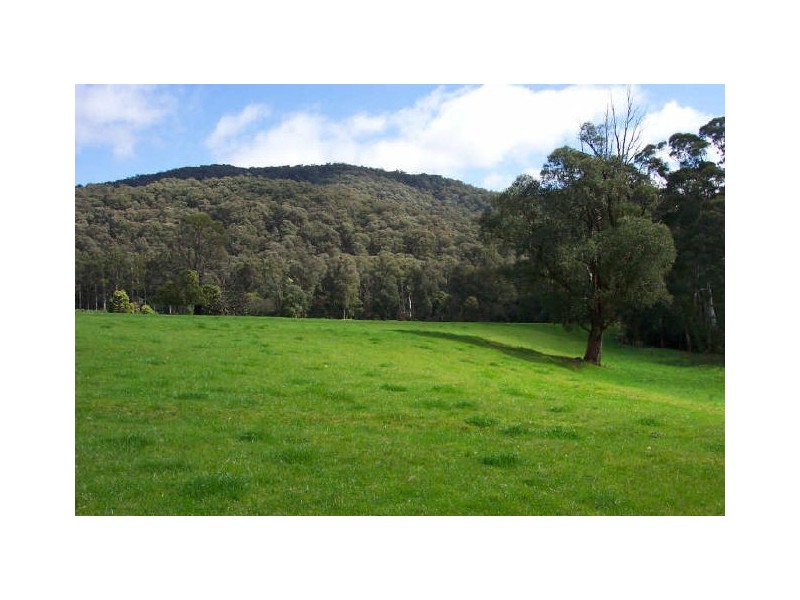 Lyell Street, Marysville VIC 3779