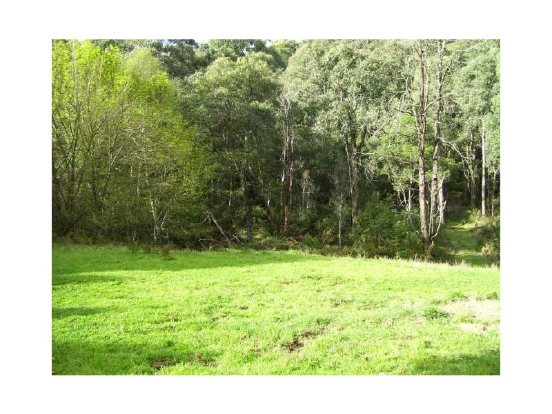 67 Falls Road, Marysville VIC 3779