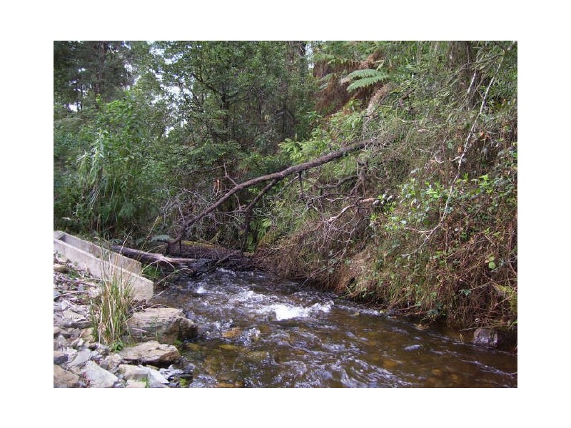 67 Falls Road, Marysville VIC 3779