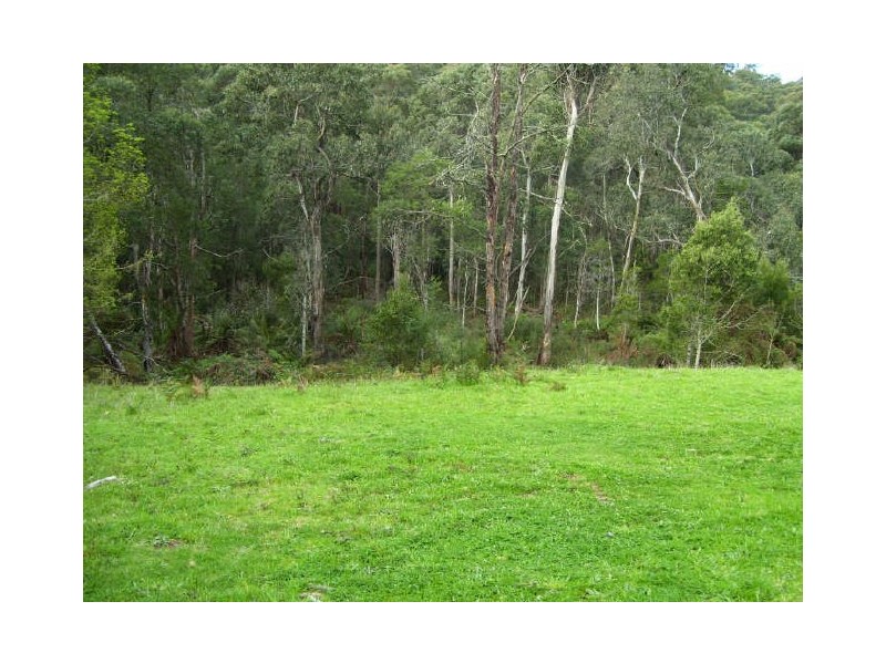 67 Falls Road, Marysville VIC 3779