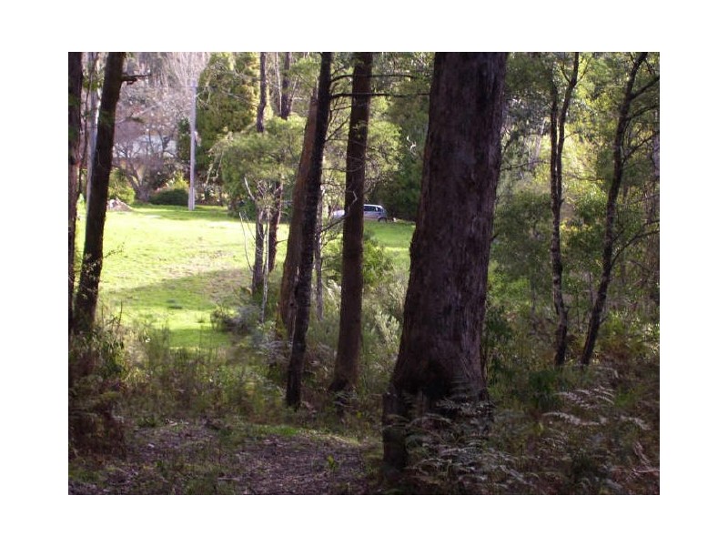 67 Falls Road, Marysville VIC 3779