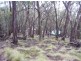 297 Old Yarck Road, Yarck VIC 3719