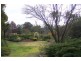 31 Myrtle Street, Alexandra VIC 3714
