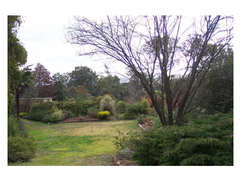31 Myrtle Street, Alexandra VIC 3714