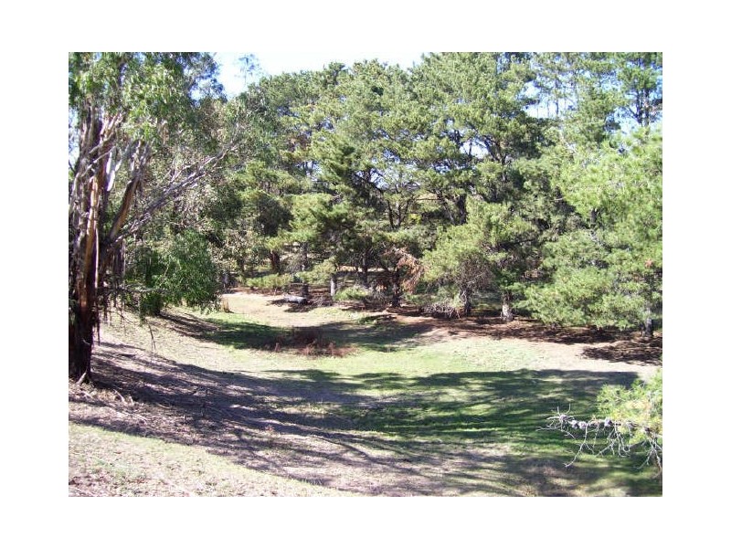 61 Vickery Street, Alexandra VIC 3714