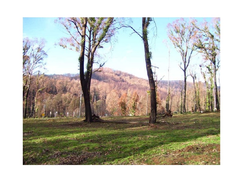 22 Gould Terrace, Marysville VIC 3779