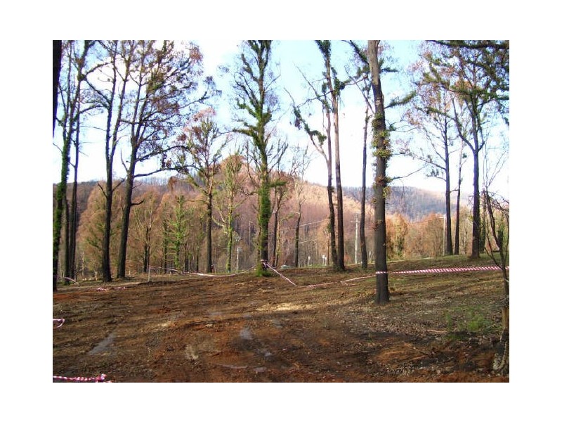 22 Gould Terrace, Marysville VIC 3779