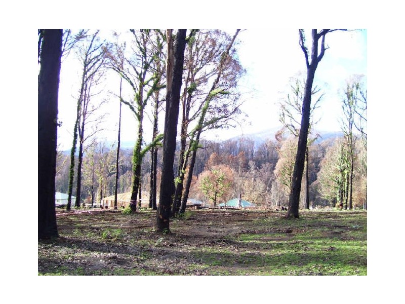 22 Gould Terrace, Marysville VIC 3779