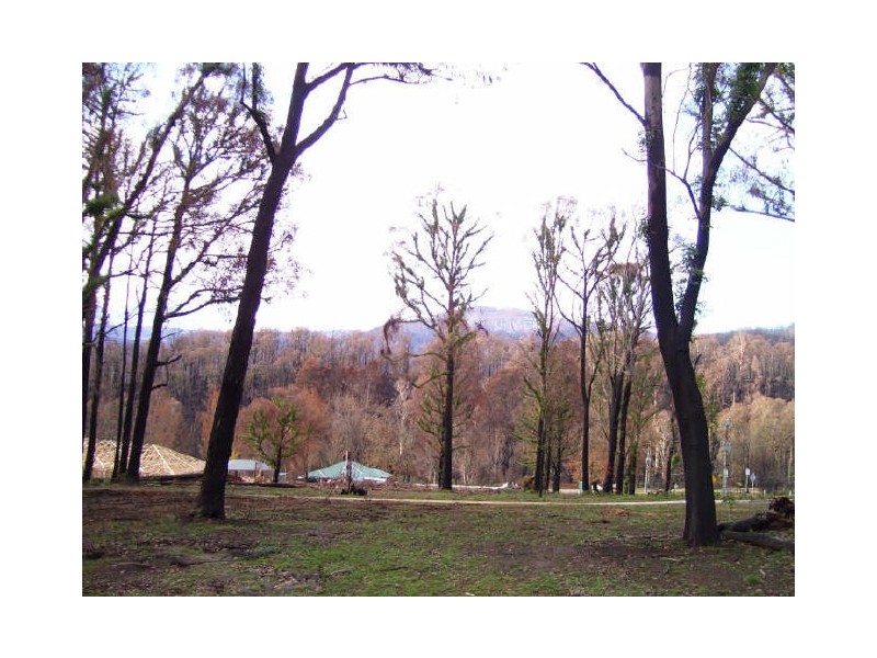 22 Gould Terrace, Marysville VIC 3779