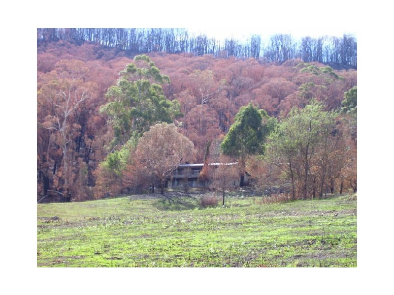 149 Buxton-Marysville Road, Buxton VIC 3711