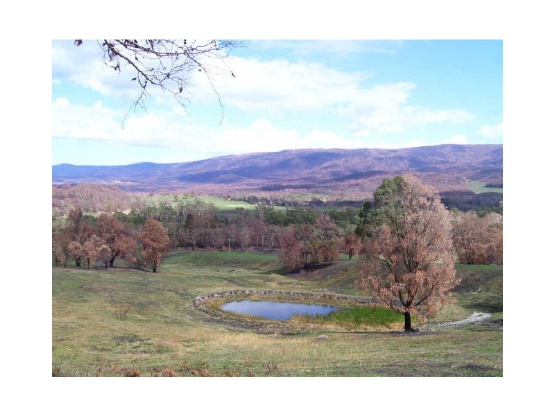 149 Buxton-Marysville Road, Buxton VIC 3711