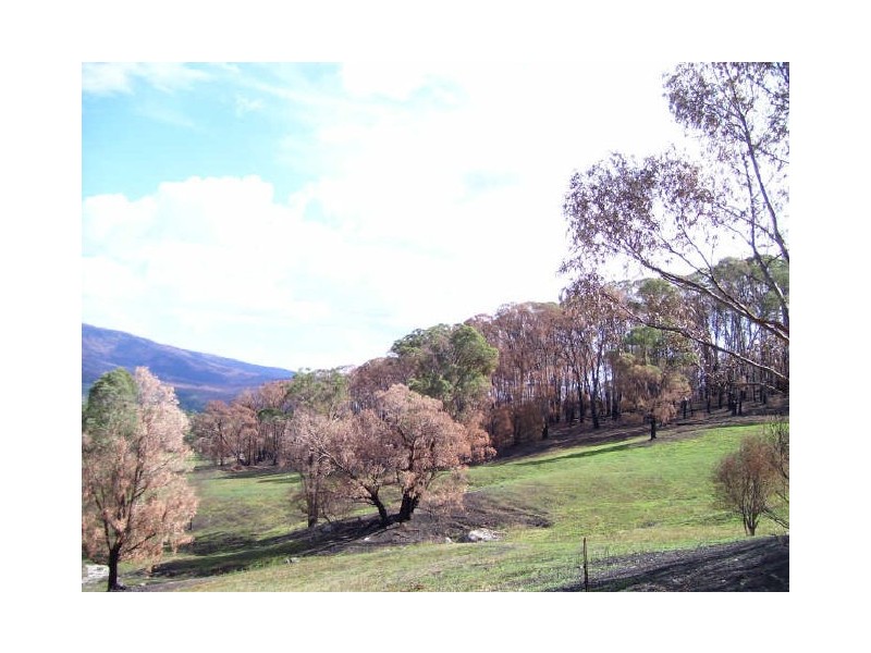 149 Buxton-Marysville Road, Buxton VIC 3711