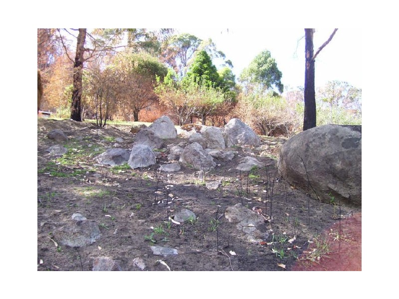 149 Buxton-Marysville Road, Buxton VIC 3711