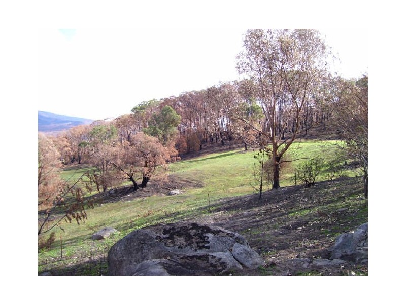 149 Buxton-Marysville Road, Buxton VIC 3711