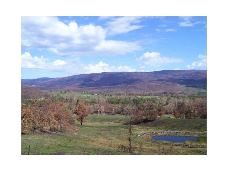 149 Buxton-Marysville Road, Buxton VIC 3711