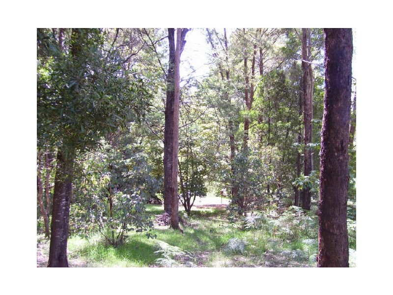 83 Murchison Street, Marysville VIC 3779