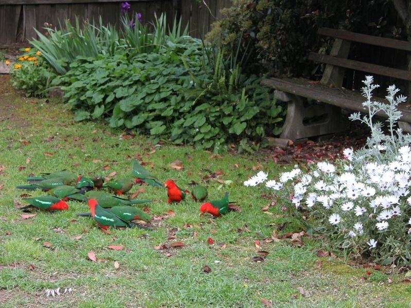 27 Centre Avenue, Eildon VIC 3713