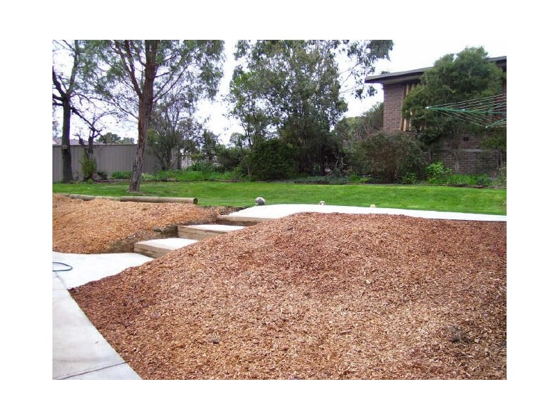 43 Cooper Street, Alexandra VIC 3714