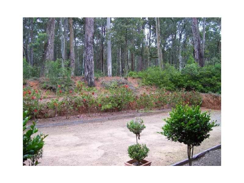 523 Marysville Road, Narbethong VIC 3778