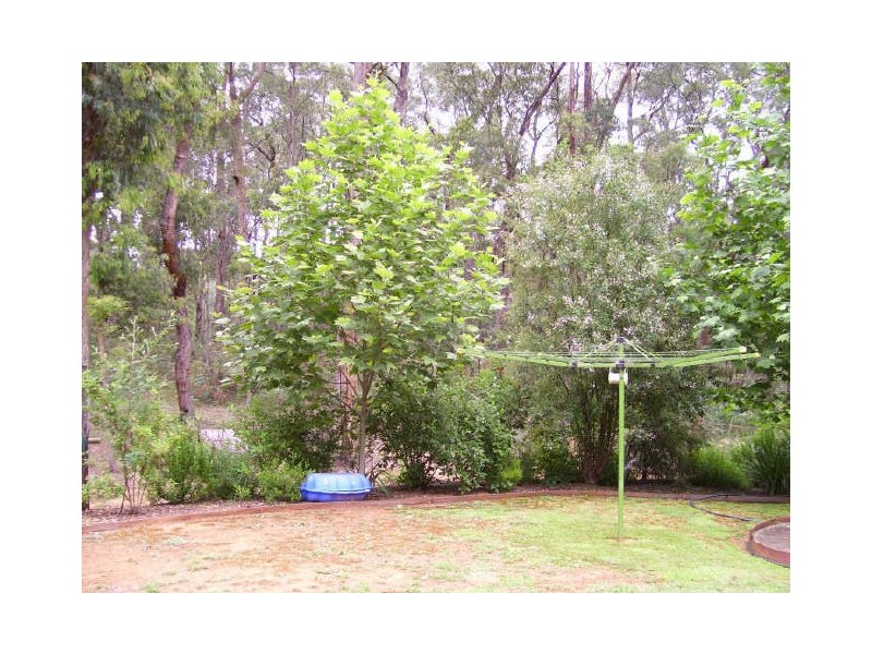 523 Marysville Road, Narbethong VIC 3778