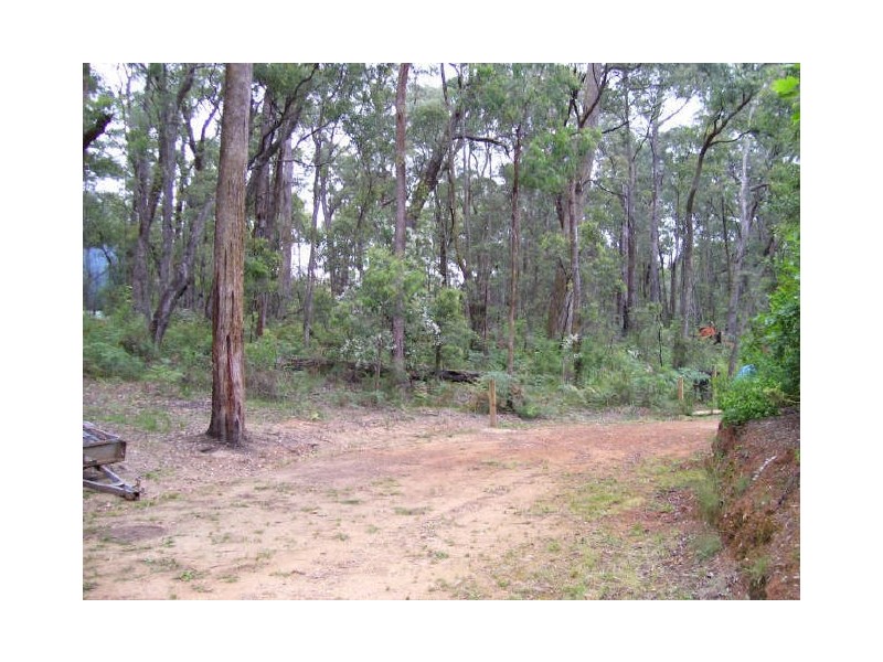 523 Marysville Road, Narbethong VIC 3778