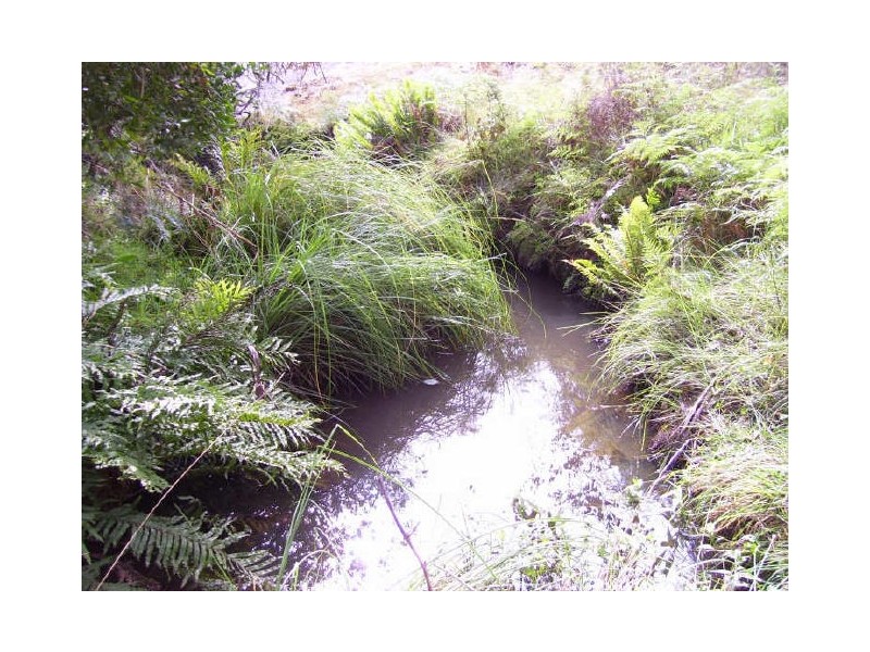 431 Springs Road, Terip Terip VIC 3719