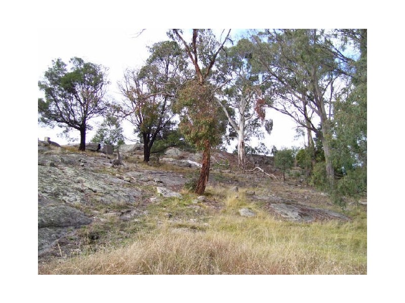 431 Springs Road, Terip Terip VIC 3719