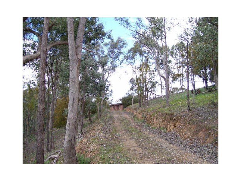 253 Left Arm Road, Taylor Bay VIC 3713