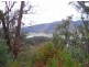 253 Left Arm Road, Taylor Bay VIC 3713