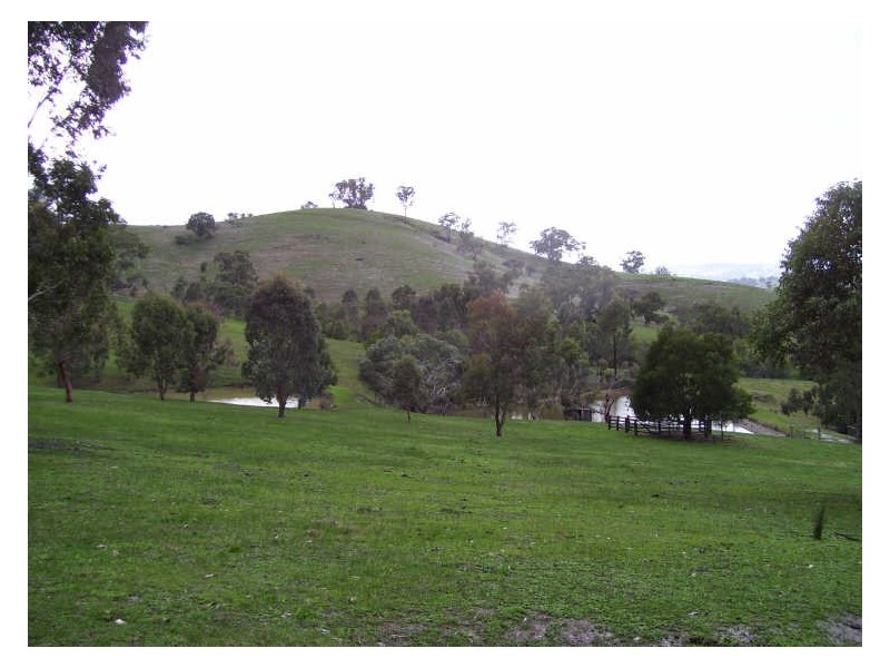 21 Acheron Road, Alexandra VIC 3714